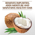 Silk Therapy With Natural Coconut Oil Moisturizing Shampoo, , large image number null